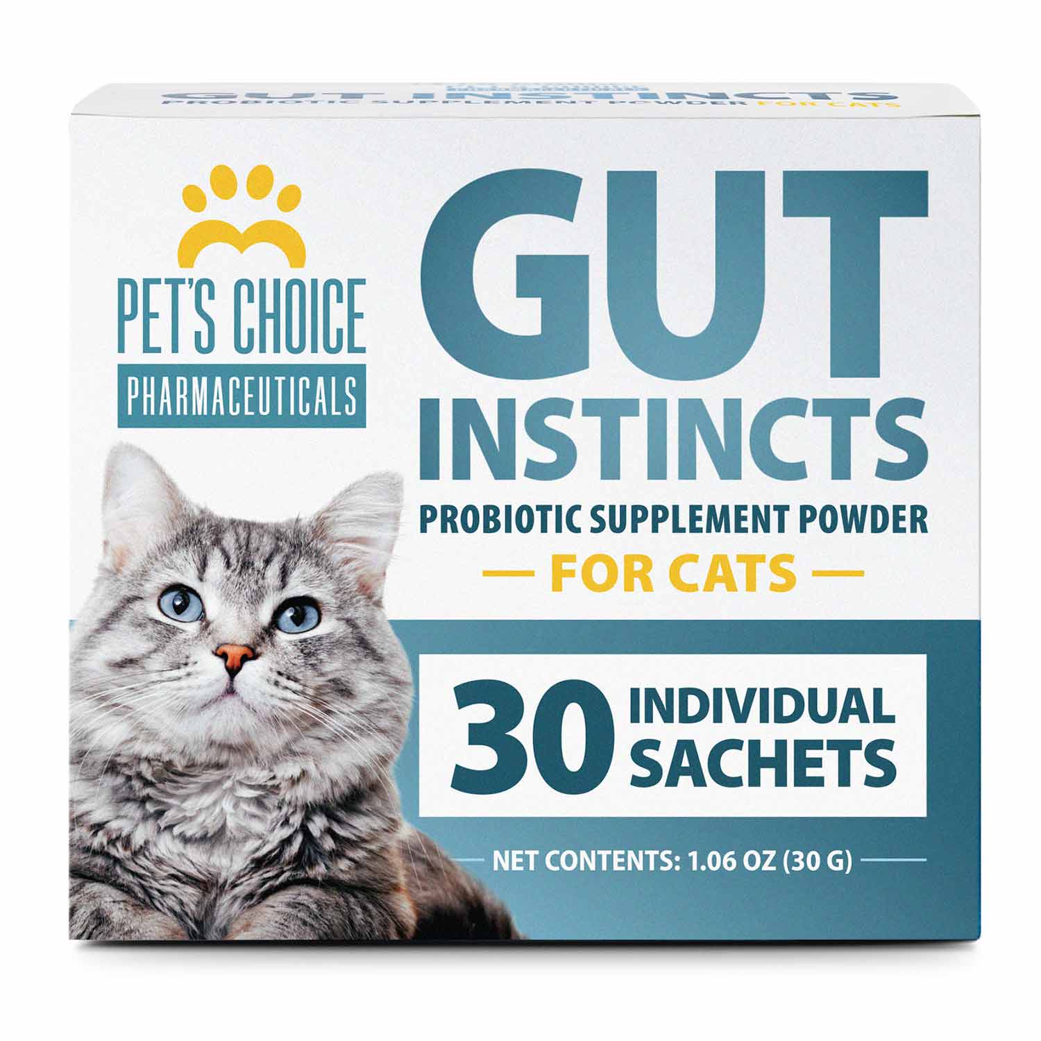 New Cat & Kitten Products